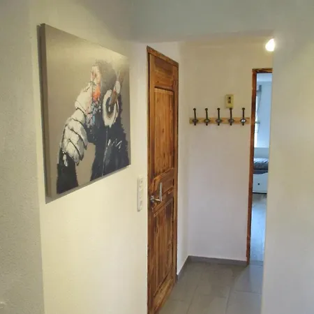 Roesch Apartment